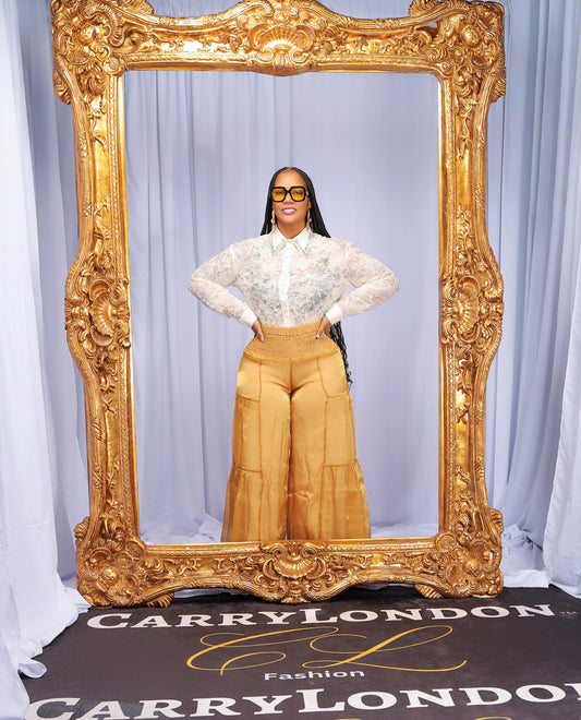 Shimmer slay Blouse